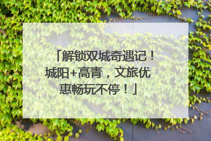 解锁双城奇遇记！城阳+高青，文旅优惠畅玩不停！