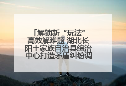 解锁新“玩法” 高效解难题 湖北长阳土家族自治县综治中心打造矛盾纠纷调处“终点站”