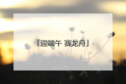 迎端午 赛龙舟