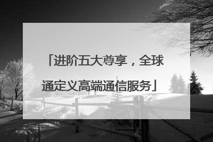 进阶五大尊享，全球通定义高端通信服务