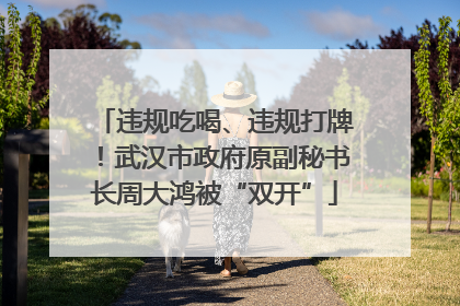 违规吃喝、违规打牌！武汉市政府原副秘书长周大鸿被“双开”