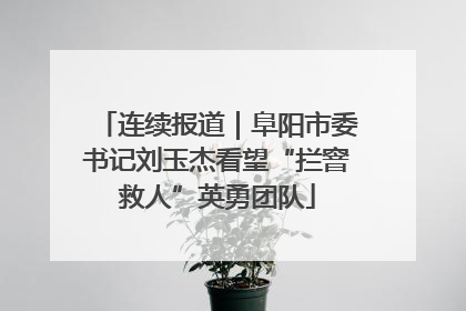 连续报道｜阜阳市委书记刘玉杰看望“拦窨救人”英勇团队
