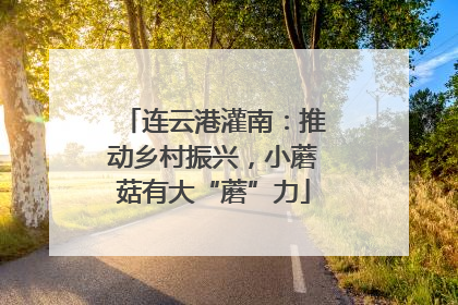 连云港灌南：推动乡村振兴，小蘑菇有大“蘑”力