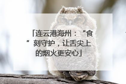 连云港海州：“食”刻守护，让舌尖上的烟火更安心