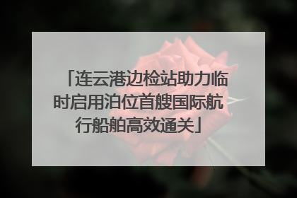 连云港边检站助力临时启用泊位首艘国际航行船舶高效通关