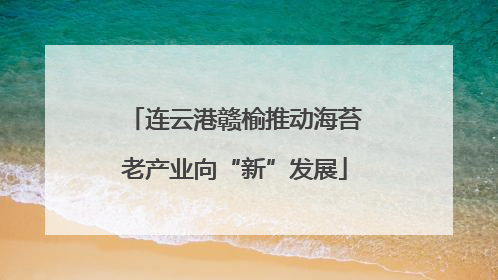 连云港赣榆推动海苔老产业向“新”发展