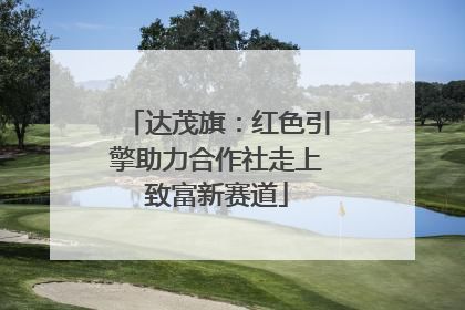 达茂旗：红色引擎助力合作社走上致富新赛道
