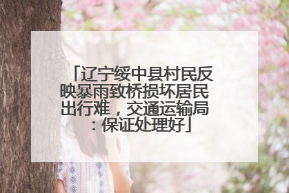 辽宁绥中县村民反映暴雨致桥损坏居民出行难，交通运输局：保证处理好