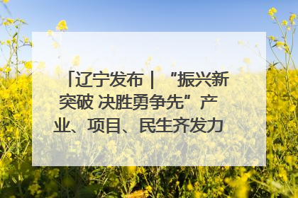 辽宁发布｜“振兴新突破 决胜勇争先”产业、项目、民生齐发力 葫芦岛按下决胜之年“加速键”