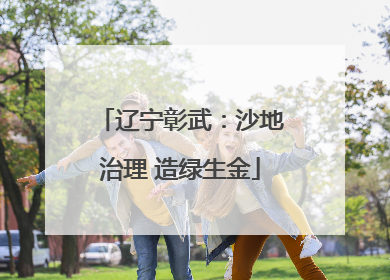 辽宁彰武：沙地治理 造绿生金