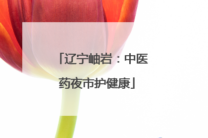 辽宁岫岩：中医药夜市护健康