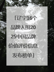 辽宁16个品牌入围2025中国品牌价值评价信息发布榜单