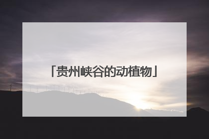贵州峡谷的动植物