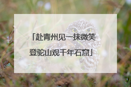 赴青州见一抹微笑 登驼山观千年石窟