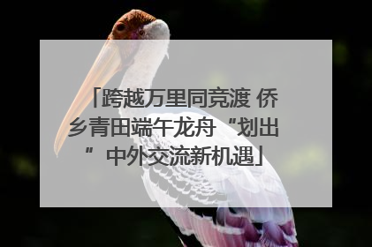 跨越万里同竞渡 侨乡青田端午龙舟“划出”中外交流新机遇