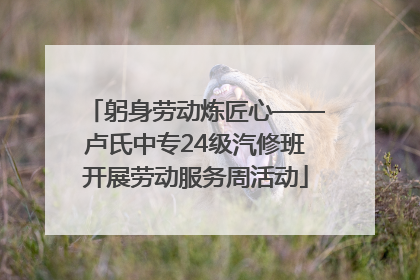 躬身劳动炼匠心——卢氏中专24级汽修班开展劳动服务周活动