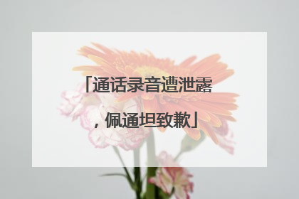 通话录音遭泄露，佩通坦致歉