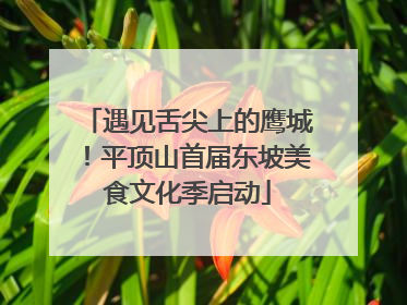 遇见舌尖上的鹰城！平顶山首届东坡美食文化季启动