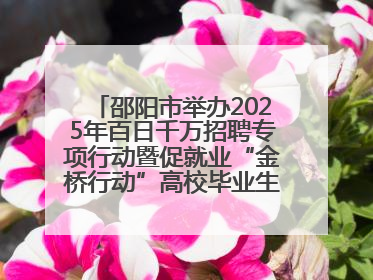 邵阳市举办2025年百日千万招聘专项行动暨促就业“金桥行动”高校毕业生专场招聘会