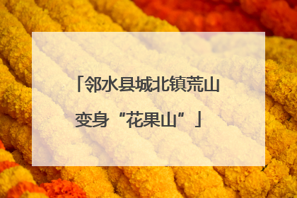 邻水县城北镇荒山变身“花果山”