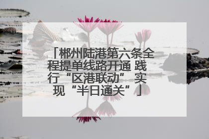 郴州陆港第六条全程提单线路开通 践行“区港联动” 实现“半日通关”