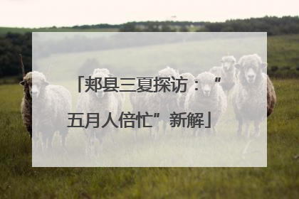 郏县三夏探访：“五月人倍忙”新解