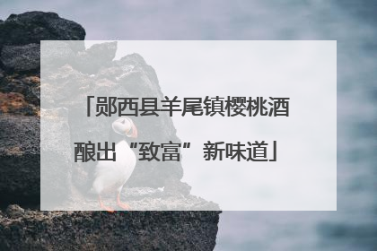 郧西县羊尾镇樱桃酒酿出“致富”新味道