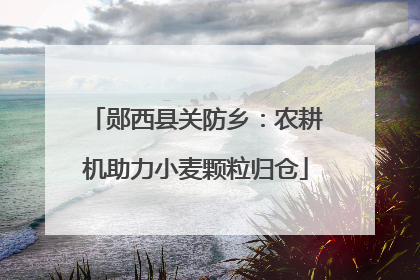 郧西县关防乡：农耕机助力小麦颗粒归仓