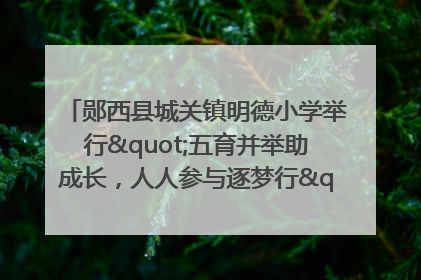 郧西县城关镇明德小学举行"五育并举助成长，人人参与逐梦行"庆六一活动