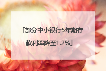 部分中小银行5年期存款利率降至1.2%