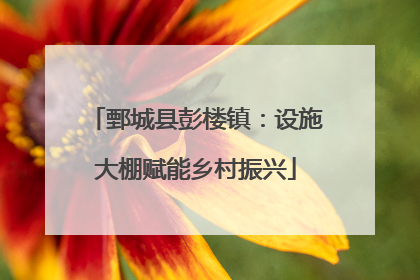 鄄城县彭楼镇：设施大棚赋能乡村振兴