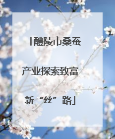 醴陵市桑蚕产业探索致富新“丝”路