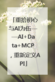 重拾初心 与AI为伍——AI+Data+MCP，重新定义API