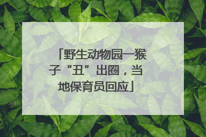 野生动物园一猴子“丑”出圈，当地保育员回应