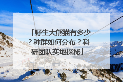 野生大熊猫有多少？种群如何分布？科研团队实地探秘