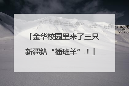 金华校园里来了三只新疆籍“插班羊”！