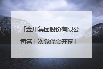 金川集团股份有限公司第十次党代会开幕