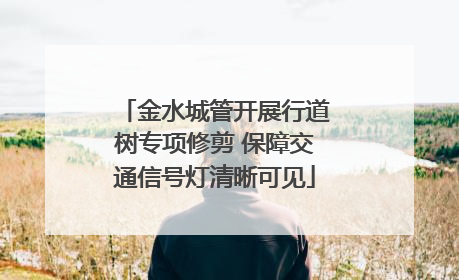 金水城管开展行道树专项修剪 保障交通信号灯清晰可见