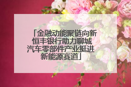 金融动能聚链向新 恒丰银行助力聊城汽车零部件产业挺进新能源赛道