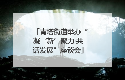 青塔街道举办“凝‘新’聚力·共话发展”座谈会