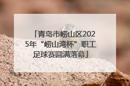 青岛市崂山区2025年“崂山湾杯”职工足球赛圆满落幕