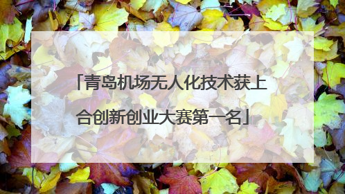 青岛机场无人化技术获上合创新创业大赛第一名