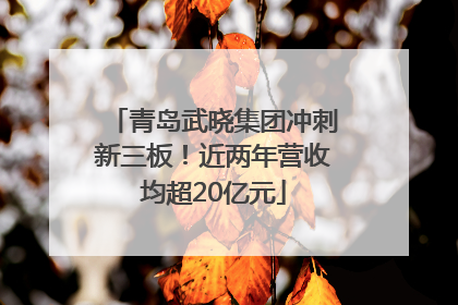 青岛武晓集团冲刺新三板！近两年营收均超20亿元