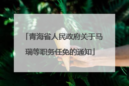 青海省人民政府关于马瑞等职务任免的通知