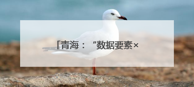 青海：“数据要素×”大赛七大赛题构建绿电算力融合新生态