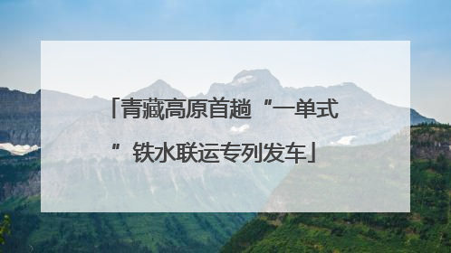 青藏高原首趟“一单式”铁水联运专列发车