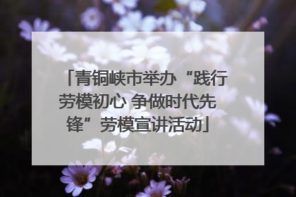 青铜峡市举办“践行劳模初心 争做时代先锋”劳模宣讲活动