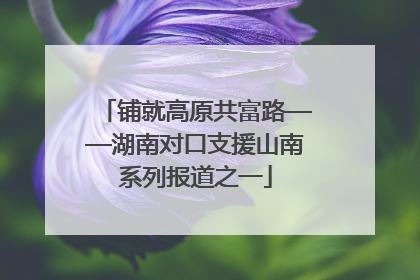铺就高原共富路——湖南对口支援山南系列报道之一