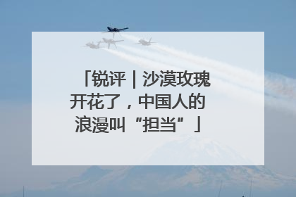 锐评｜沙漠玫瑰开花了，中国人的浪漫叫“担当”