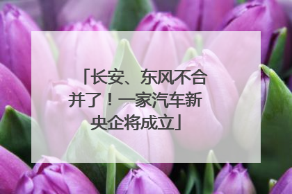 长安、东风不合并了！一家汽车新央企将成立